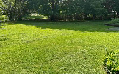 Photo of Roshanda M.'s yard after getting lawn care in Cedarburg, WI