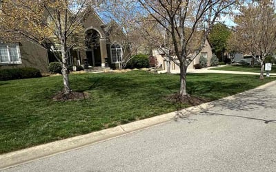 Photo of Mare C.'s yard after getting tree care in Gardner, KS