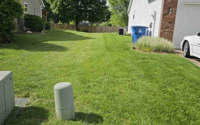 Photo of Taylor M.'s yard after getting lawn care in Wood River, IL