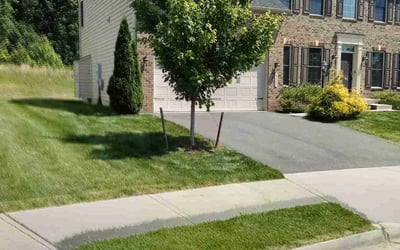 Photo of Lori M.'s yard after getting lawn care in Fort Hunt, VA