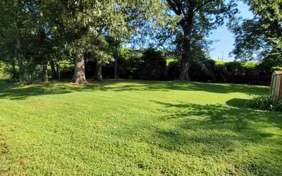 Photo of Shauna M.'s yard after getting lawn care in Leeds, AL