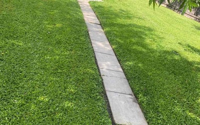 Photo of Luis H.'s yard after getting lawn care in Gretna, LA