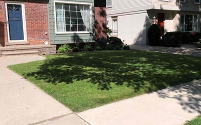 Photo of Irena D.'s yard after getting lawn care in Redford, MI