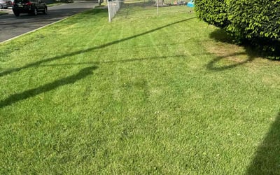 Photo of Georgia C.'s yard after getting lawn care in Sewell, NJ