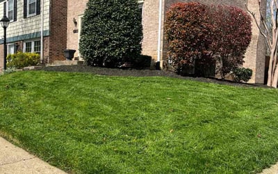 Photo of Houston K.'s yard after getting lawn care in Columbia, MD