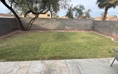 Photo of Jim M.'s yard after getting lawn care in Goodyear, AZ