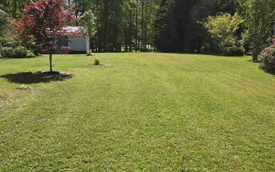 Photo of Brooke S.'s yard after getting lawn care in Kenly, NC