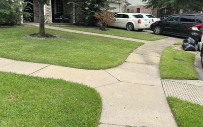 Photo of Mike M.'s yard after getting lawn care in Blaine, MN