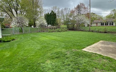 Photo of Tim H.'s yard after getting lawn care in Portage, WI
