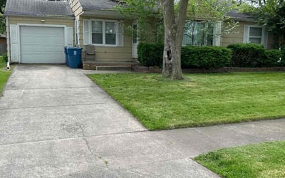 Photo of Alison C.'s yard after getting lawn care in Highland, IN