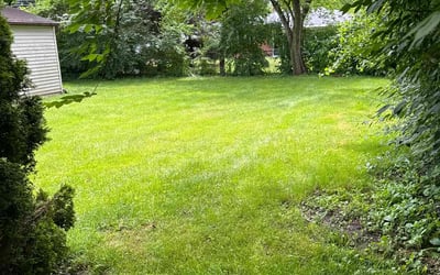 Photo of Sonya H.'s yard after getting lawn care in Southgate, MI
