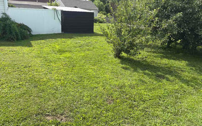 Photo of Jeffery S.'s yard after getting lawn care in Ringgold, GA