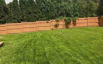 Photo of Jan O.'s yard after getting lawn care in Hershey, PA