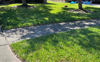 Photo of Juanita H.'s yard after getting lawn care in Dickinson, TX