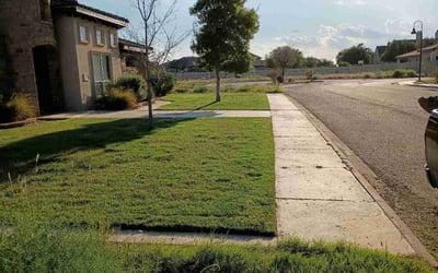 Photo of Joshua K.'s yard after getting lawn care in Franklin, IN