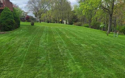 Photo of Peggy A.'s yard after getting lawn care in Beaver, PA
