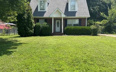 Photo of Janesta H.'s yard after getting lawn care in Cicero, NY
