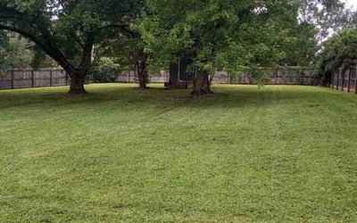 Photo of Wanda S.'s yard after getting lawn care in Gastonia, NC