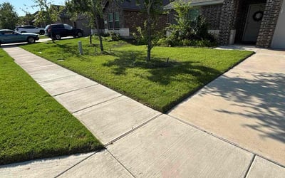 Photo of Laion L.'s yard after getting lawn care in Princeton, TX