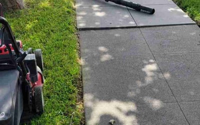 Photo of Brooke H.'s yard after getting lawn care in Saratoga, CA