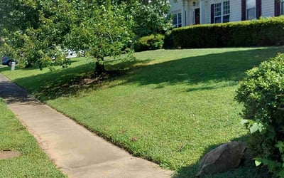Photo of Rebecca L.'s yard after getting lawn care in Redding, CA