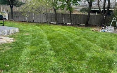 Photo of Lois T.'s yard after getting lawn care in Norwich, CT