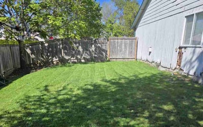 Photo of Tammy Y.'s yard after getting lawn care in Battle Ground, WA