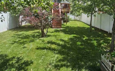 Photo of Amanda G.'s yard after getting lawn care in Worcester, MA