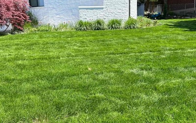 Photo of Tracy T.'s yard after getting lawn care in Salt Lake City, UT