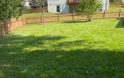 Photo of Gretchen D.'s yard after getting lawn care in Leesburg, VA