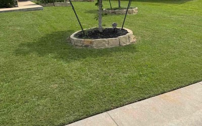 Photo of Dannielle C.'s yard after getting lawn care in Ipswich, MA