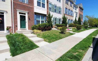 Photo of Greg K.'s yard after getting lawn care in Baltimore, MD