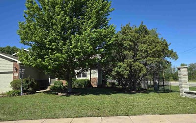 Photo of Marti D.'s yard after getting lawn care in Derby, KS