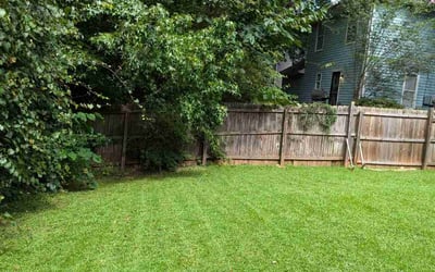Photo of Tim S.'s yard after getting lawn care in Joplin, MO