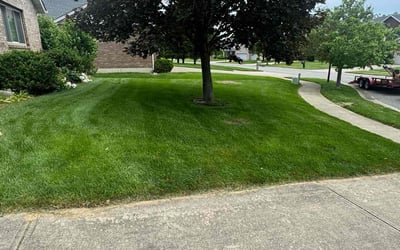 Photo of Vanessa P.'s yard after getting tree care in Santa Rosa, CA