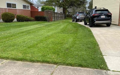 Photo of Selina G.'s yard after getting lawn care in Murfreesboro, TN