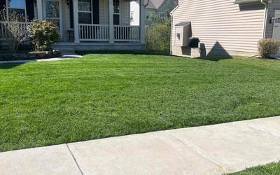 Photo of Deborah D.'s yard after getting lawn care in Bel Air, MD