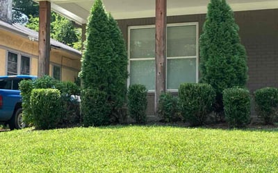 Photo of Kapil S.'s yard after getting lawn care in Saint Augustine, FL