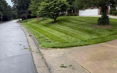 Photo of Wynter J.'s yard after getting lawn care in Middletown, NY