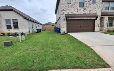 Photo of David D.'s yard after getting lawn care in San Antonio, TX
