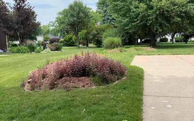 Photo of Nakisha J.'s yard after getting lawn care in Bettendorf, IA