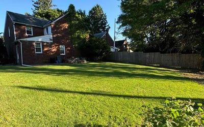 Photo of Tabitha H.'s yard after getting lawn care in Lansdowne, PA