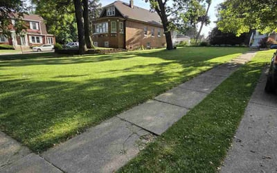 Photo of Matthew E.'s yard after getting lawn care in Dearborn Heights, MI