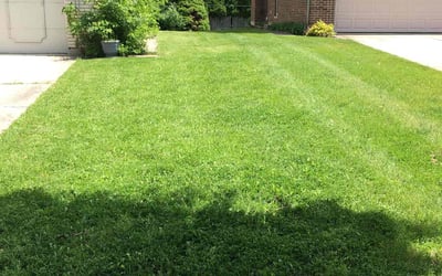 Photo of Sara R.'s yard after getting lawn care in Mount Prospect, IL