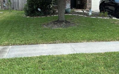Photo of Donna W.'s yard after getting lawn care in Spring, TX