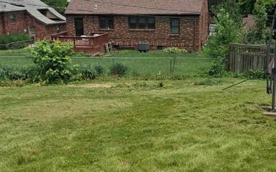 Photo of Kathleen R.'s yard after getting lawn care in Struthers, OH
