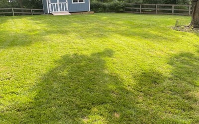 Photo of Rose C.'s yard after getting lawn care in West Chester, OH