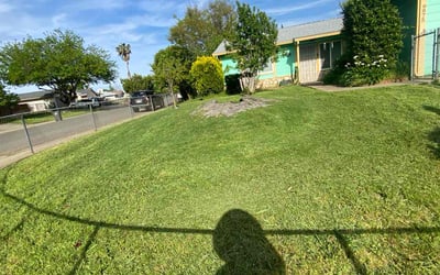 Photo of Pablo M.'s yard after getting lawn care in Saratoga, CA