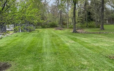Photo of Susan B.'s yard after getting lawn care in Kingstowne, VA