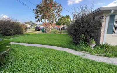 Photo of Stephen S.'s yard after getting lawn care in Westwego, LA